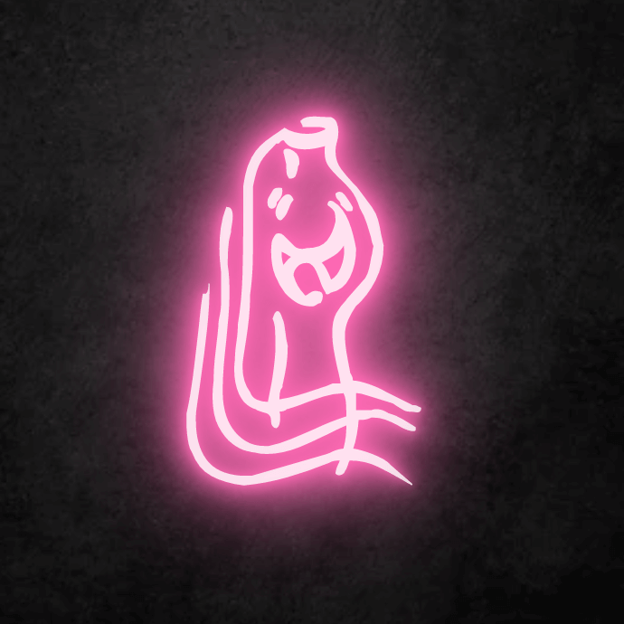 Pink Aquarius LED Neon Sign, Custom Made To Order. Free Shipping within Australia.